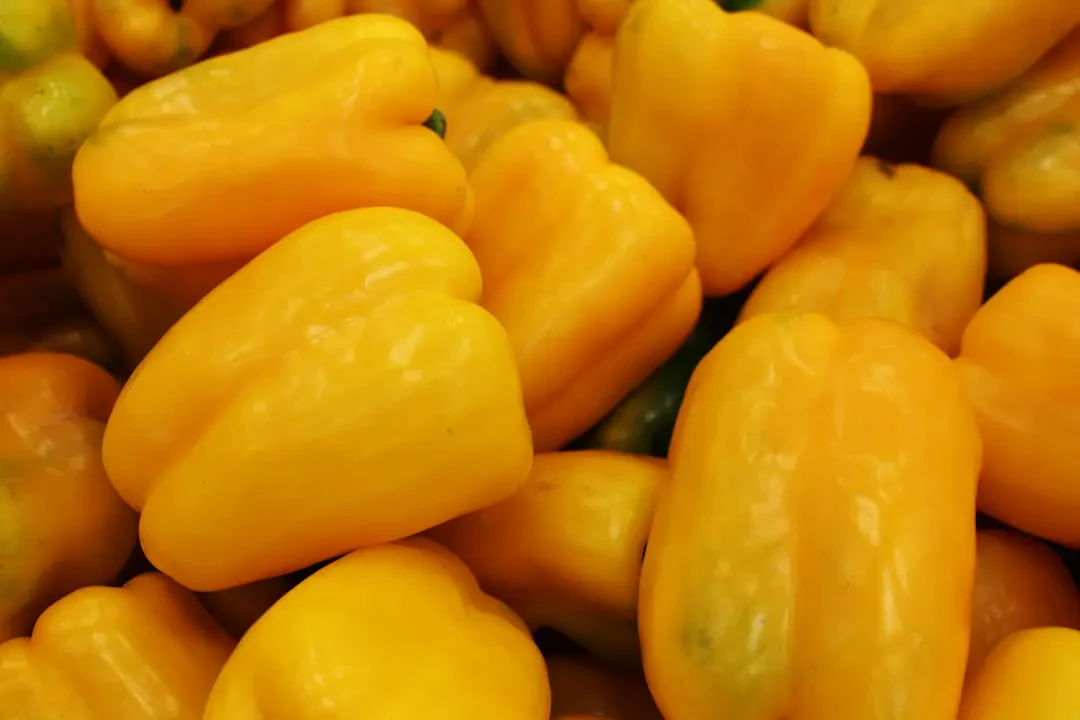 Hướng dẫn chọn và bảo quản me chua