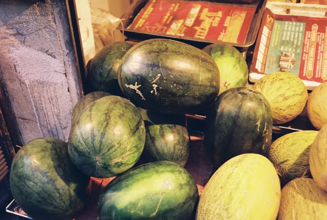 Melon (varieties) – Nguồn Gốc, Dinh Dưỡng, Lợi Ích & Ứng Dụng
