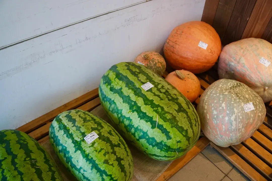 Melon cắt lát bổ dưỡng