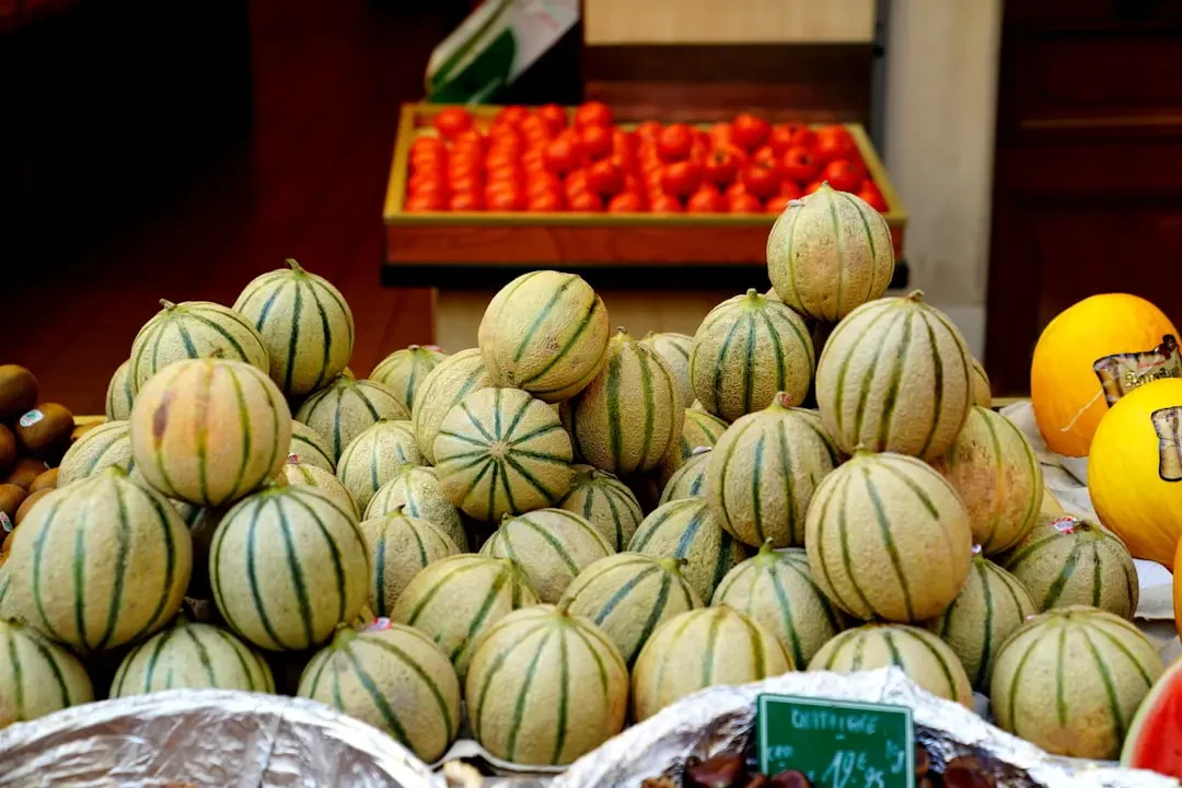 Cận cảnh Melon tươi ngon