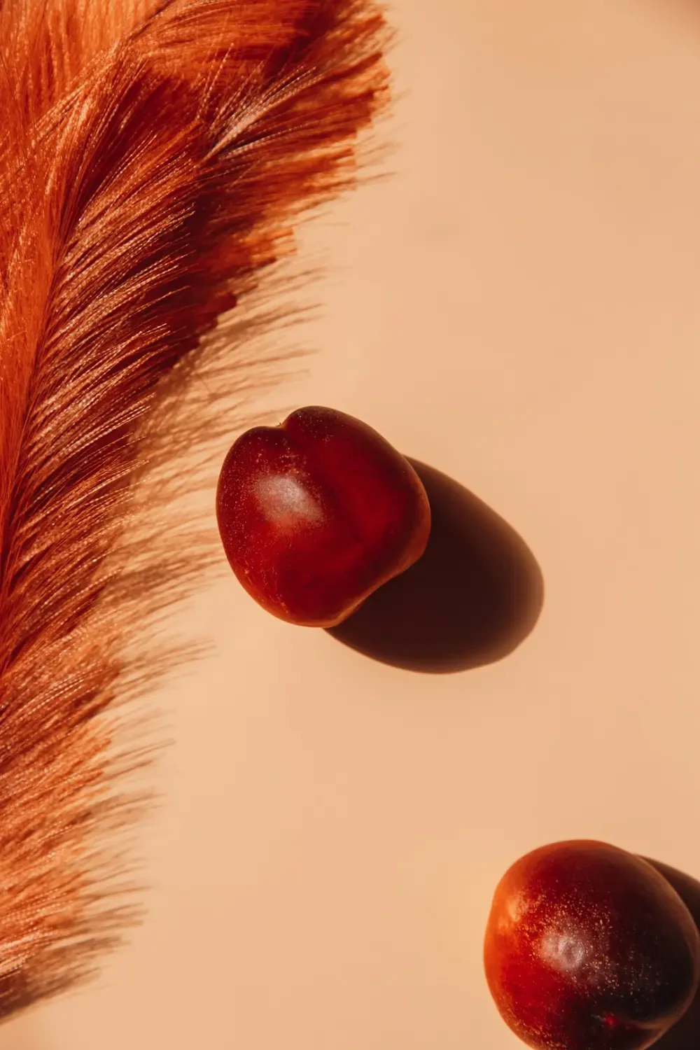 Nectarine vỏ nhẵn mịn, giá trị cao