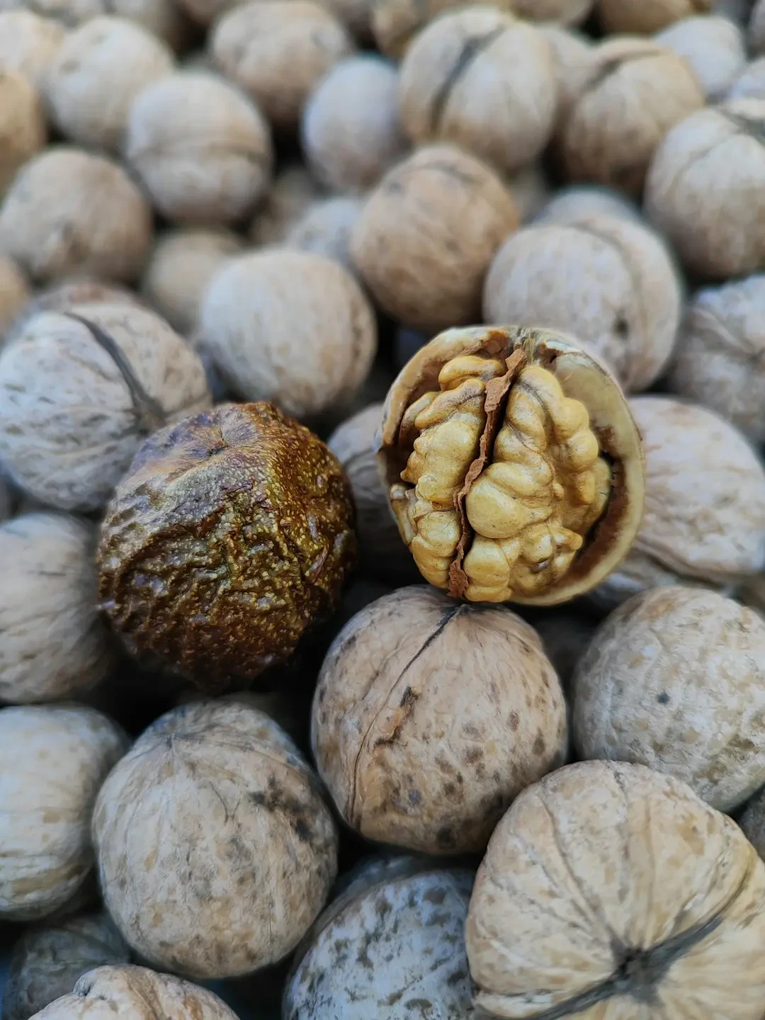 Cách chọn và bảo quản hạt Óc chó tươi ngon