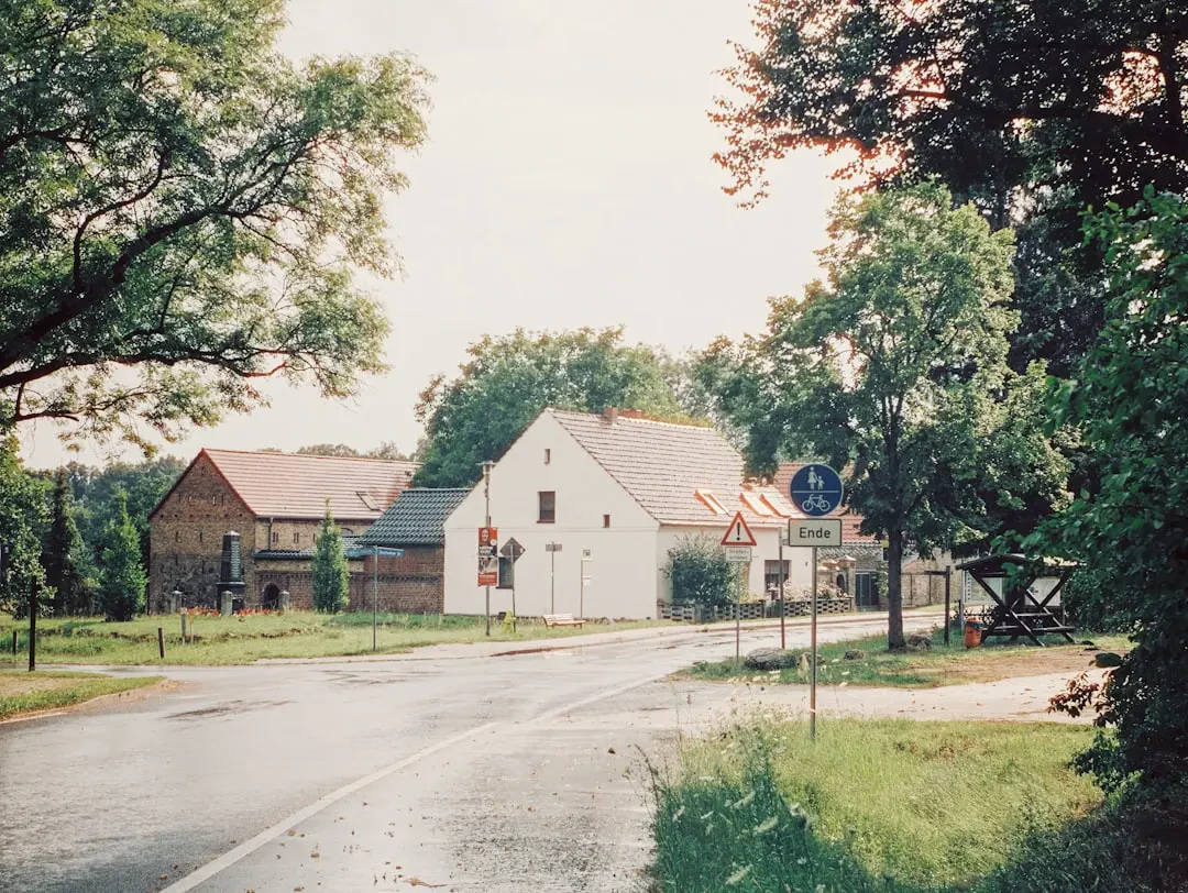 Lợi ích sức khỏe từ Olallieberry