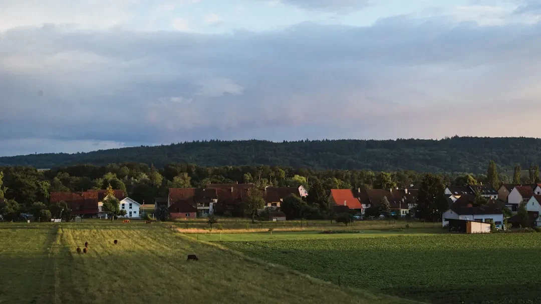 Món ăn chế biến từ Olallieberry