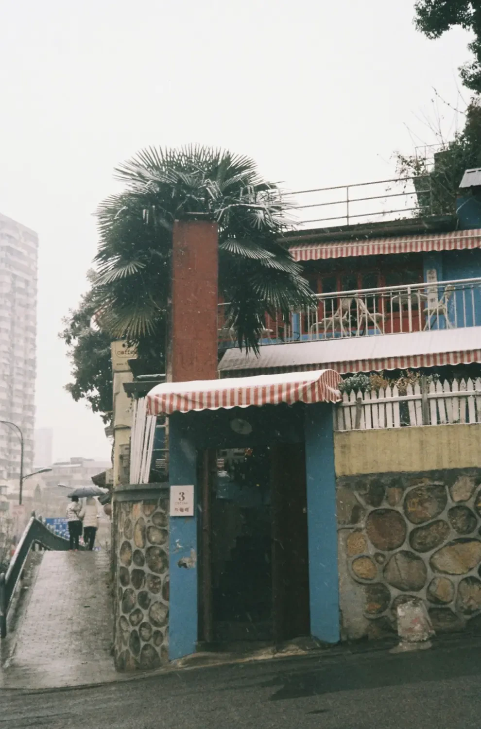 Cận cảnh trái Pitanga chín mọng trên cành