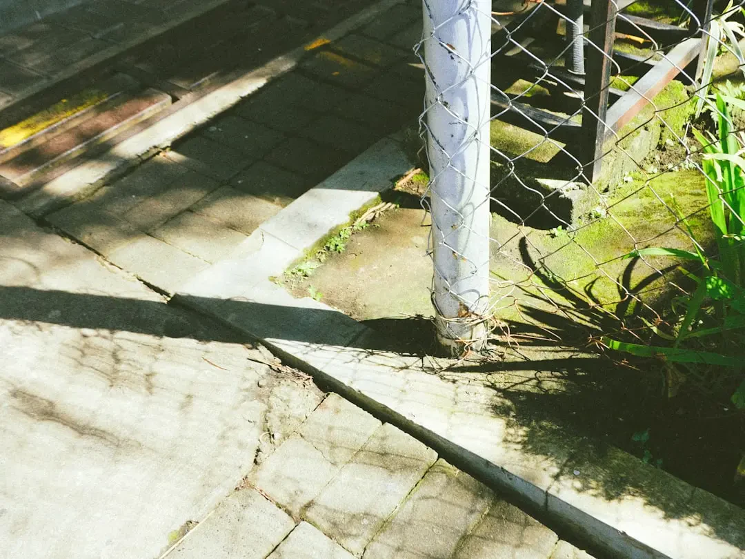 Các cách chế biến bưởi lai