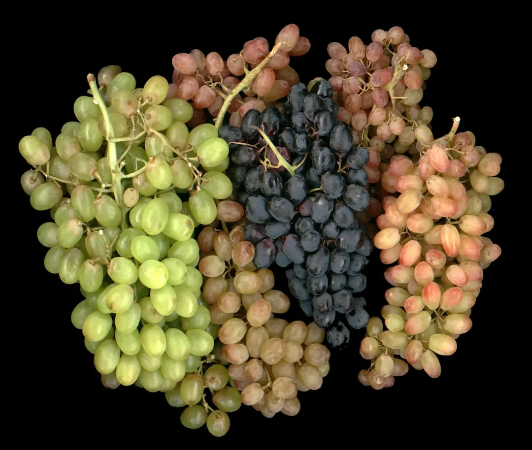 Mận khô - trái cây sấy giàu dinh dưỡng