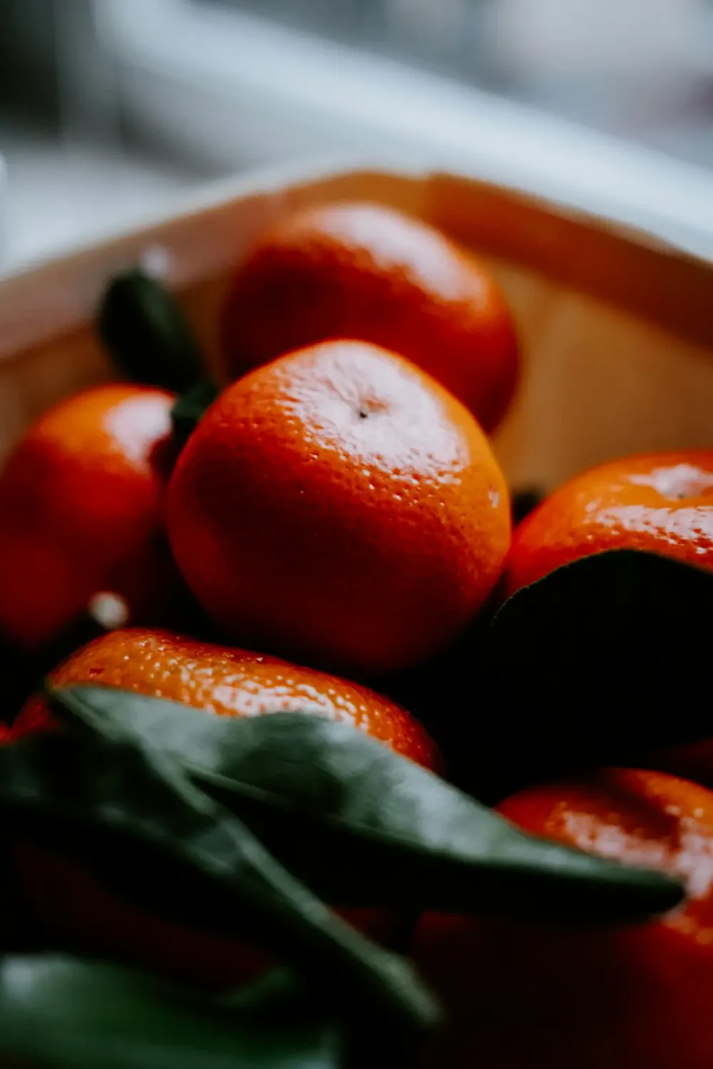 Quýt tươi mọng nước, màu cam rực rỡ