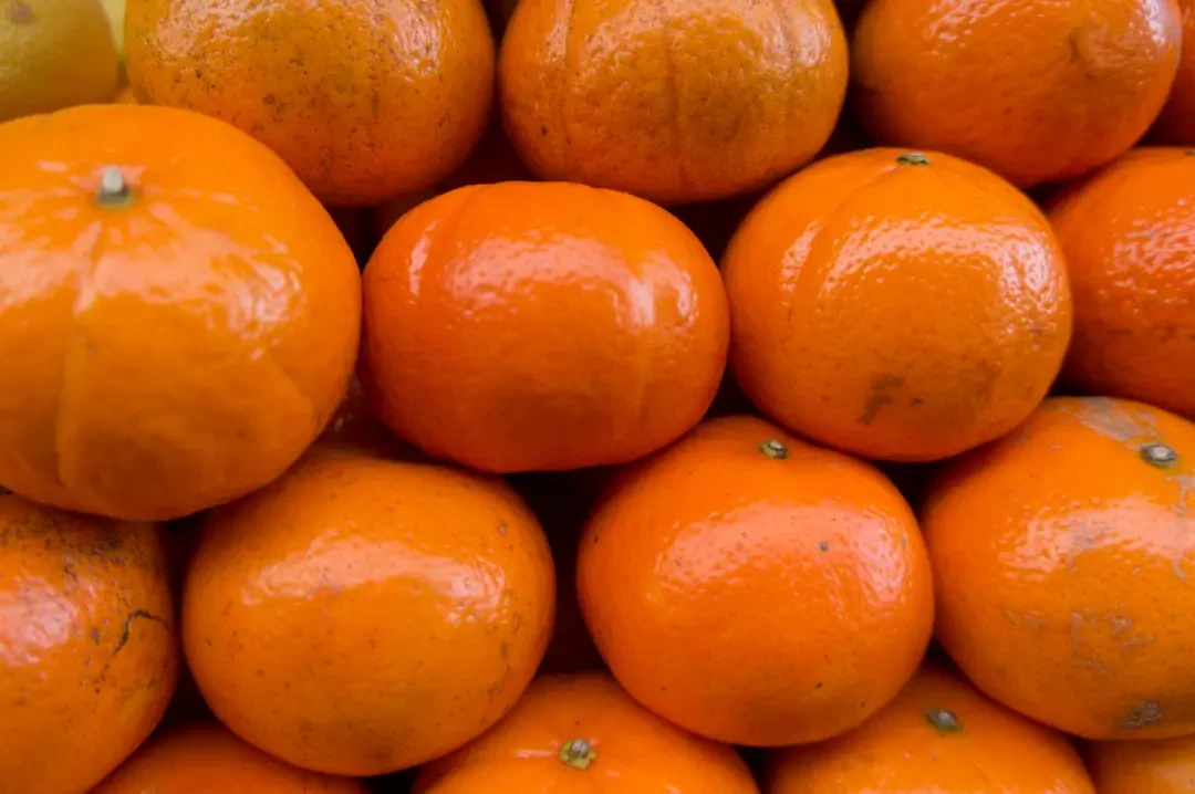 Nước ép quýt tươi ngon, bổ dưỡng