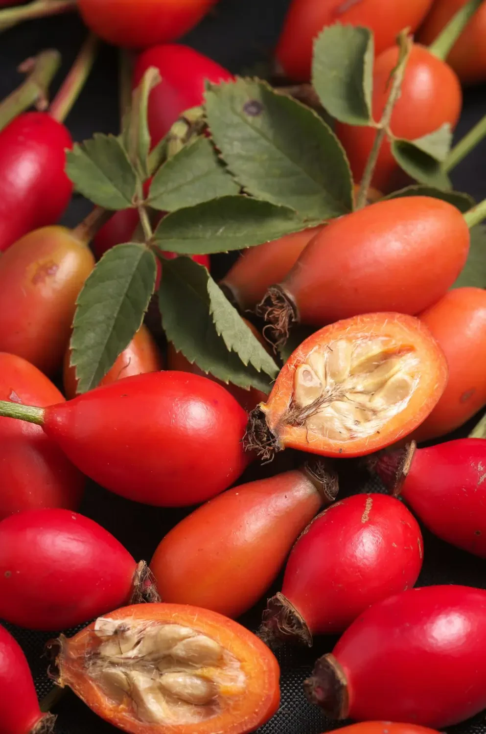 Nguồn gốc và đặc điểm của Rosehip