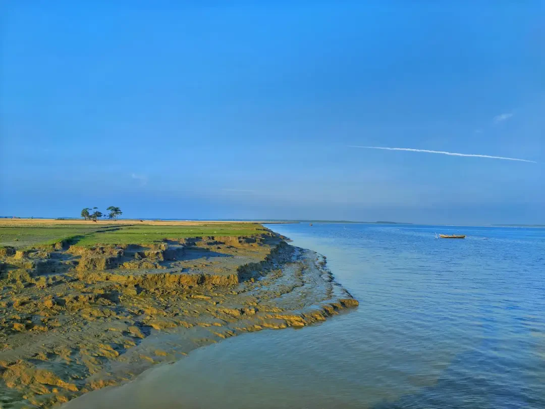 Chùm nho biển chín mọng