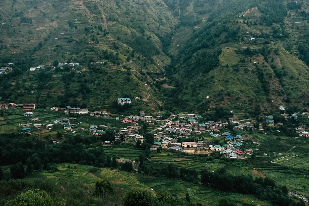 Sinh tố và món ăn từ Tamarillo