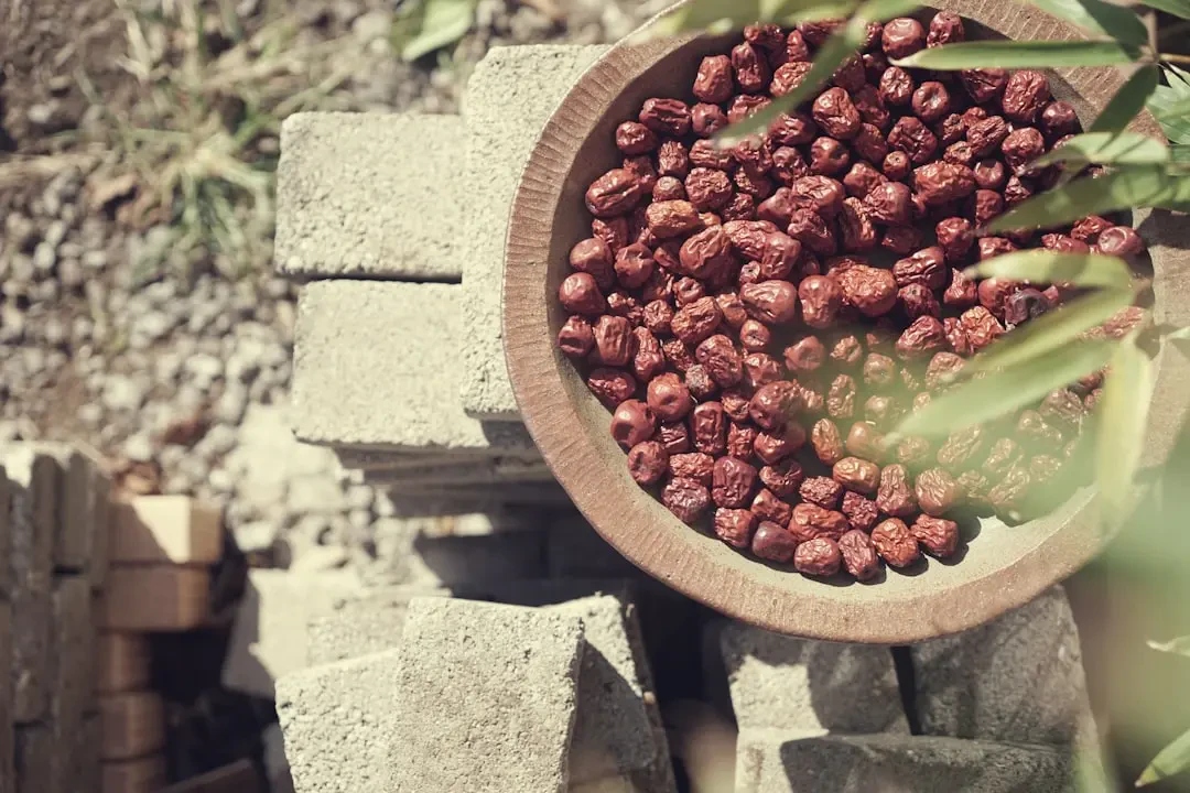 Lợi ích sức khỏe của táo tàu