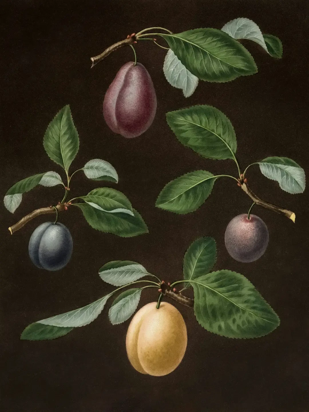 FAQ về Bổ Sung 228