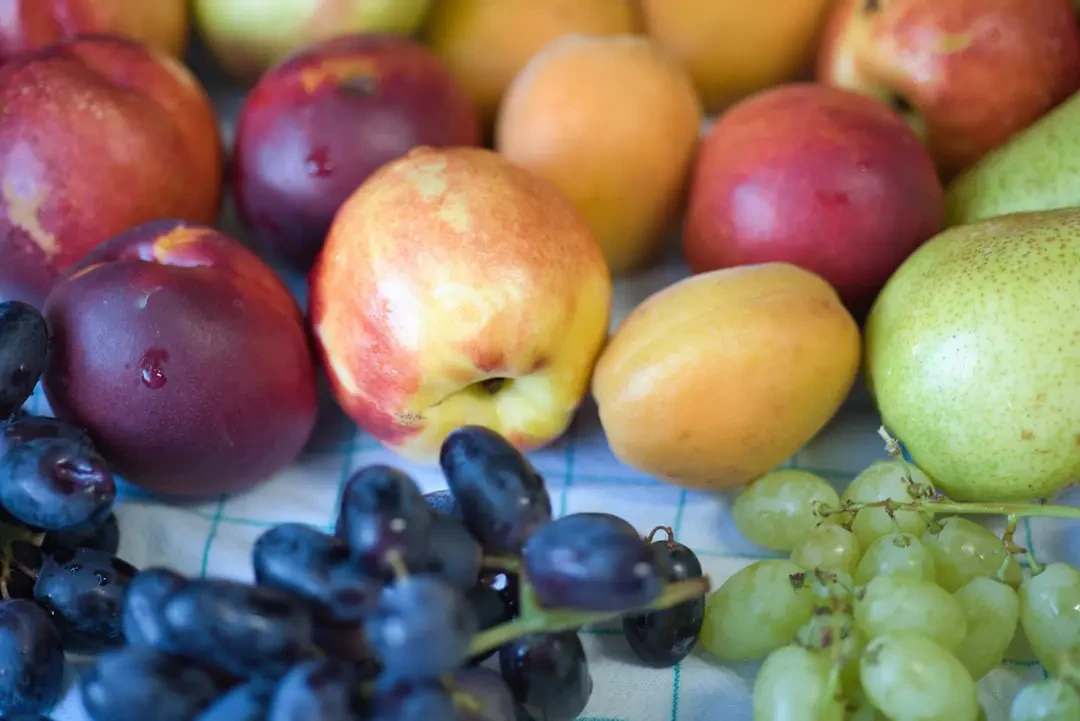 Đối tượng nên dùng và lưu ý khi dùng trái bổ sung 242