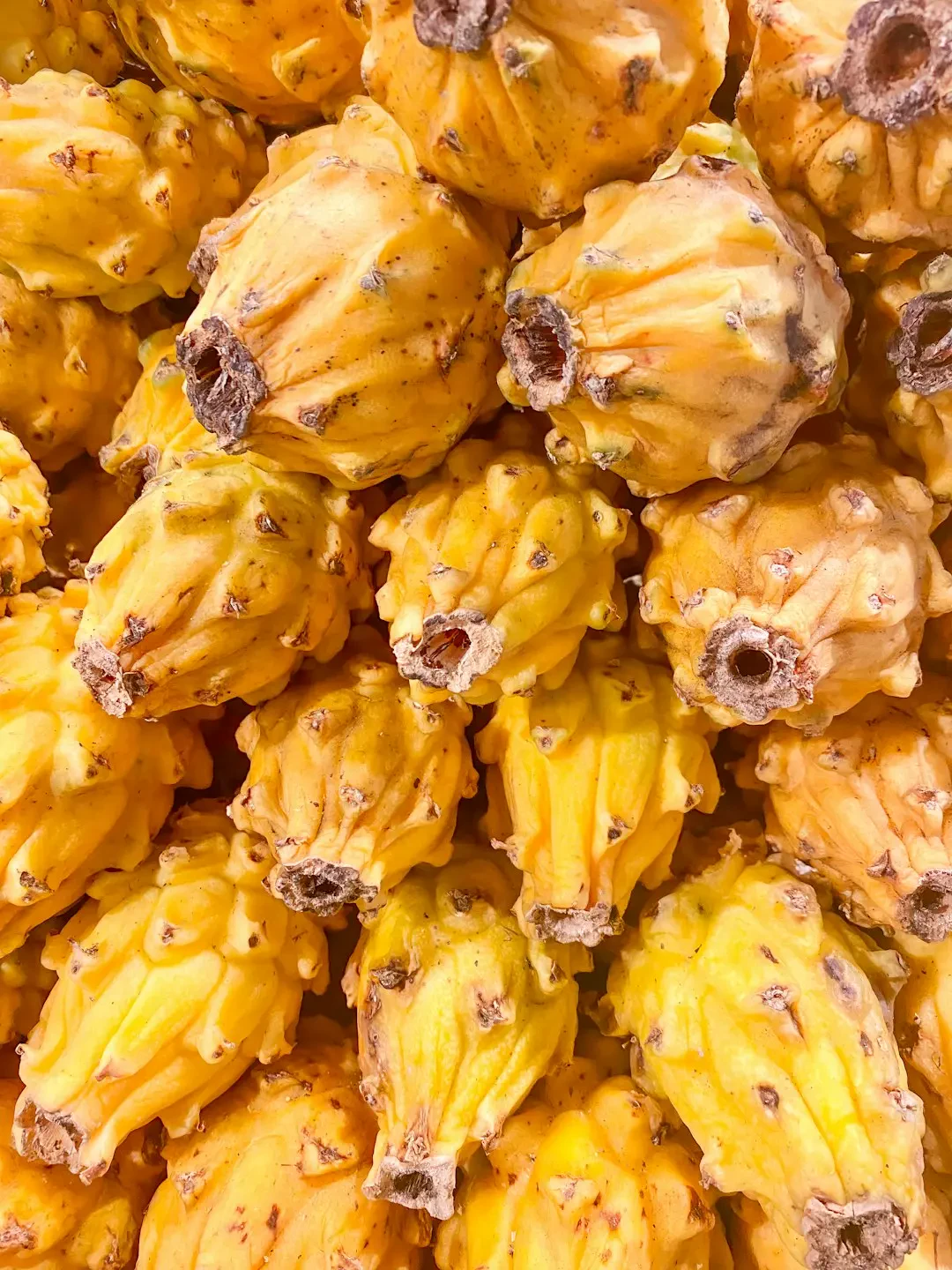 Yellow pitaya – Nguồn Gốc, Dinh Dưỡng, Lợi Ích & Ứng Dụng