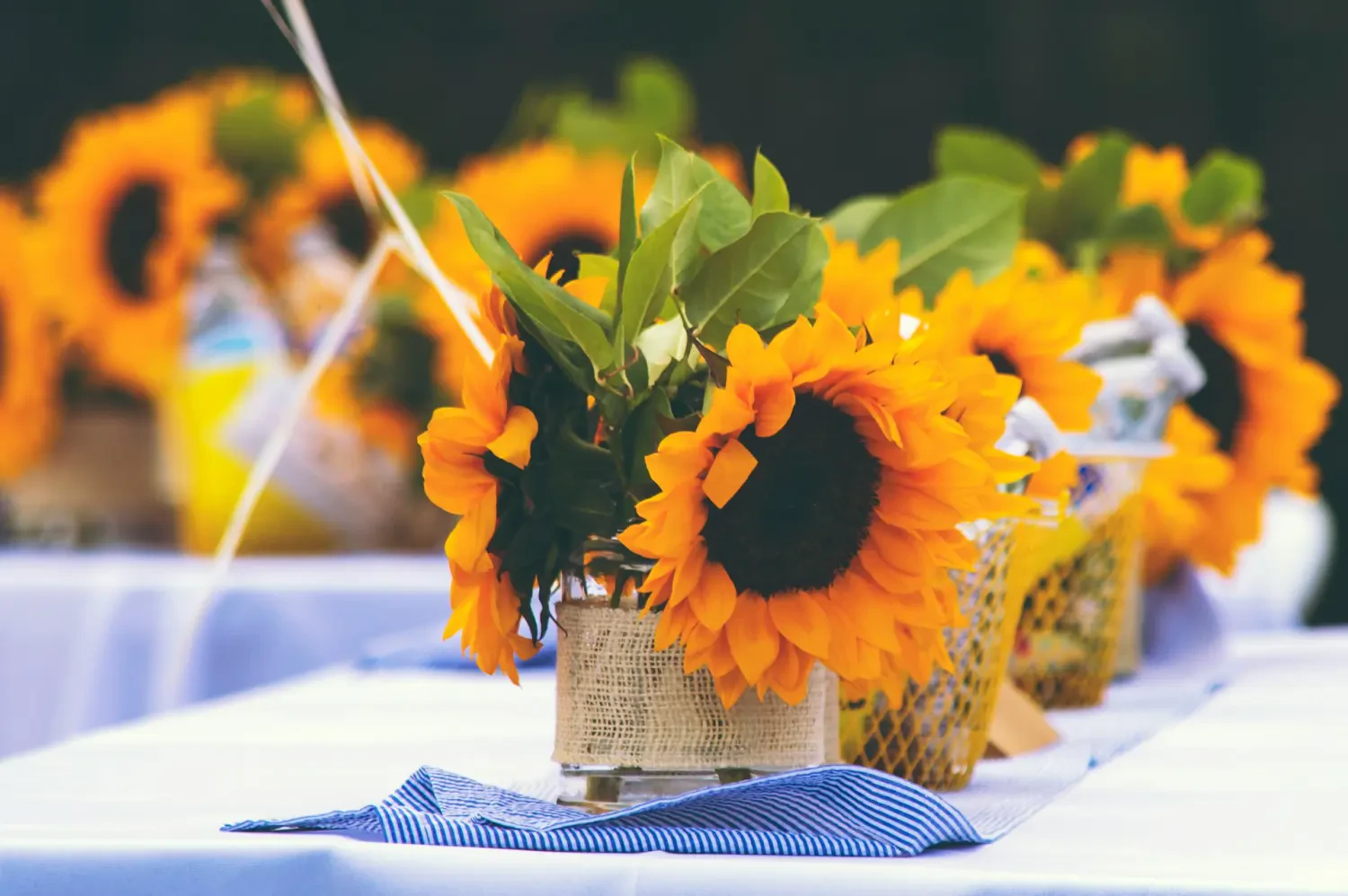 Hoa Hướng Dương - Hadigarden - 1