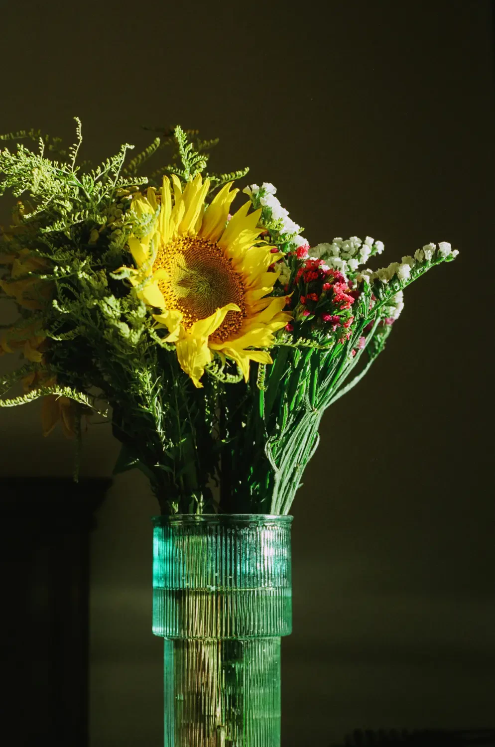 Ý Nghĩa Hoa Hướng Dương – Nguồn Gốc, Câu Chuyện & Cách Ứng Dụng 2025