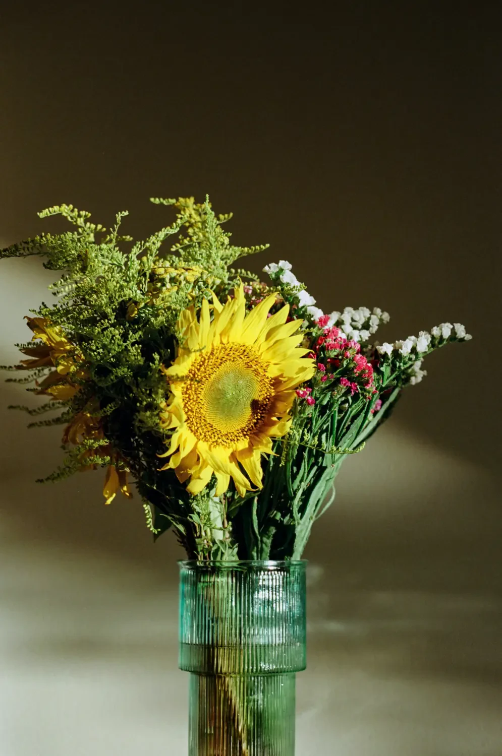 Hoa Hướng Dương - Hadigarden - 11