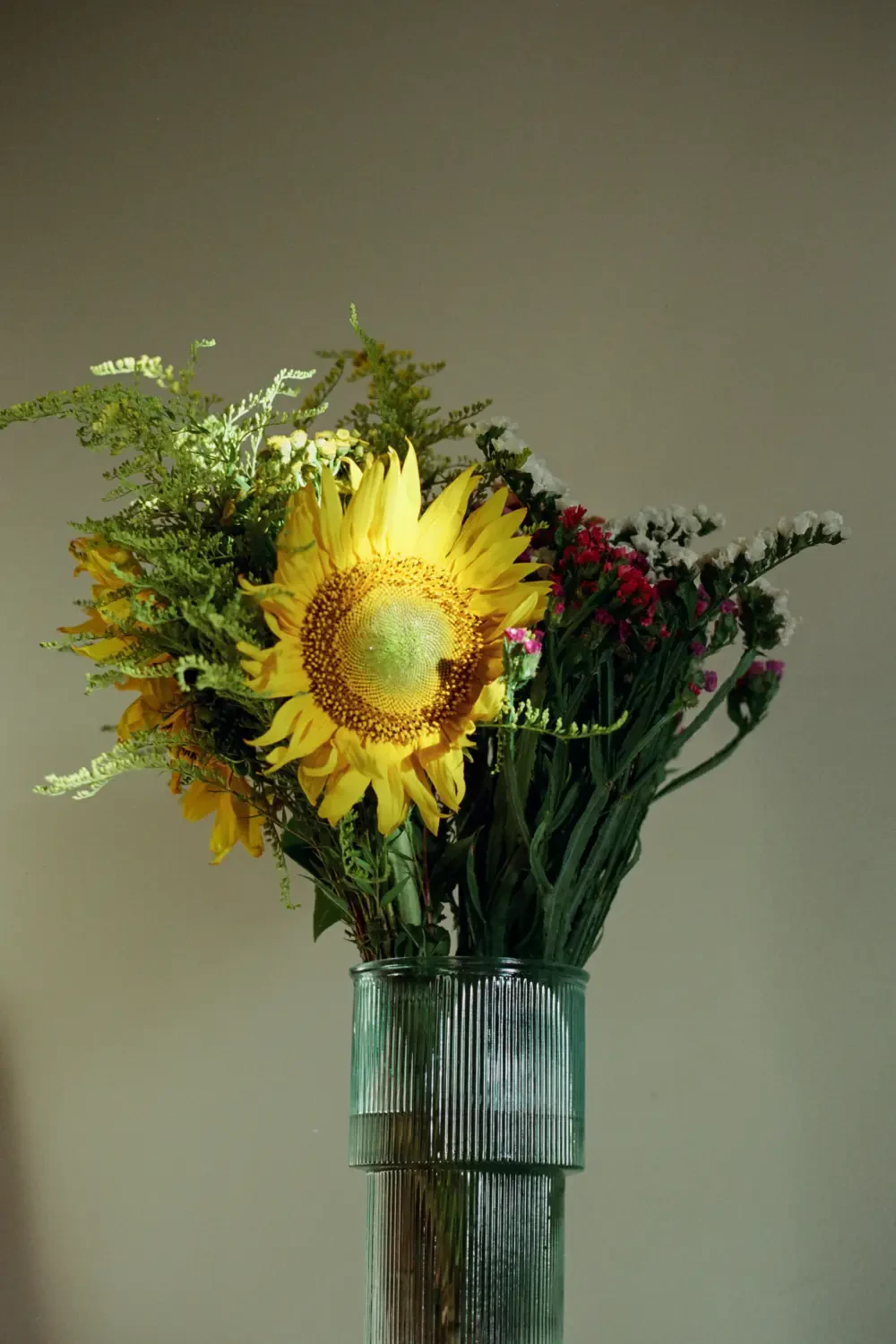 Ý Nghĩa Hoa Hướng Dương – Nguồn Gốc, Câu Chuyện & Cách Ứng Dụng 2025