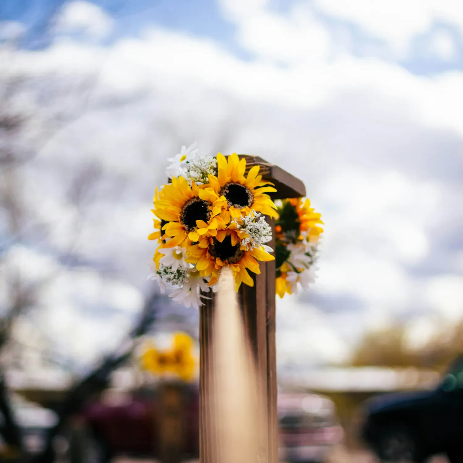 Ý Nghĩa Hoa Hướng Dương – Nguồn Gốc, Câu Chuyện & Cách Ứng Dụng 2025