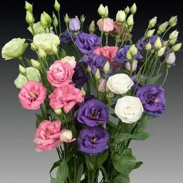 cắm hoa khai trương