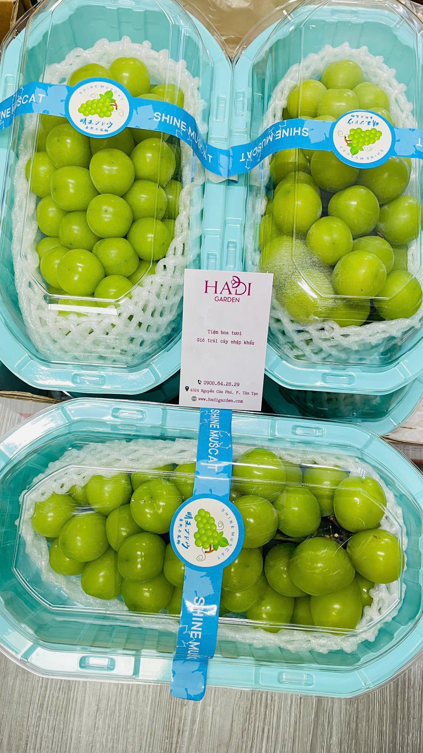 Giỏ trái cây và hoa tươi Hadigarden, quà tặng khai trương