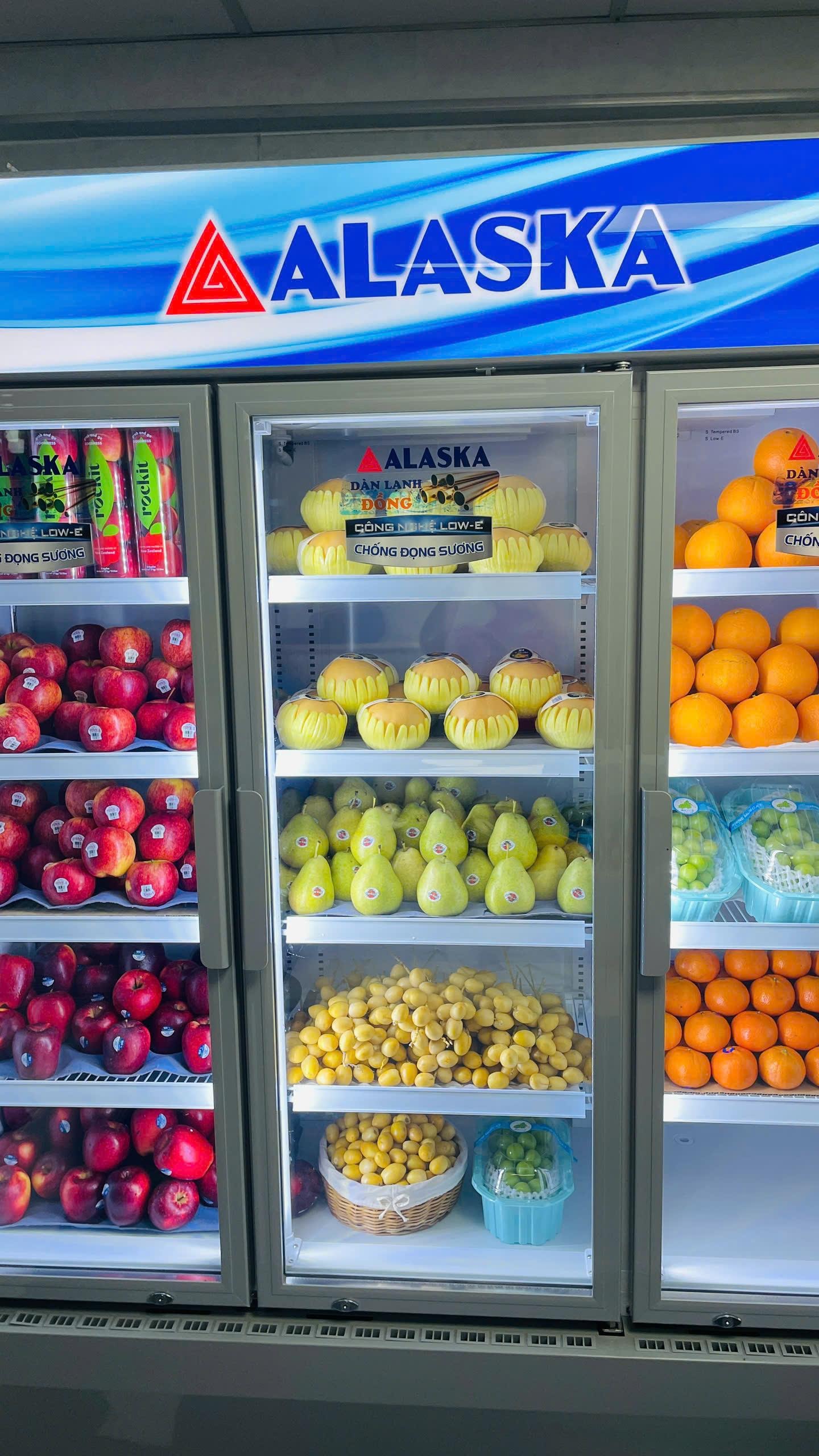 Hadigarden - shop hoa tươi và giỏ trái cây