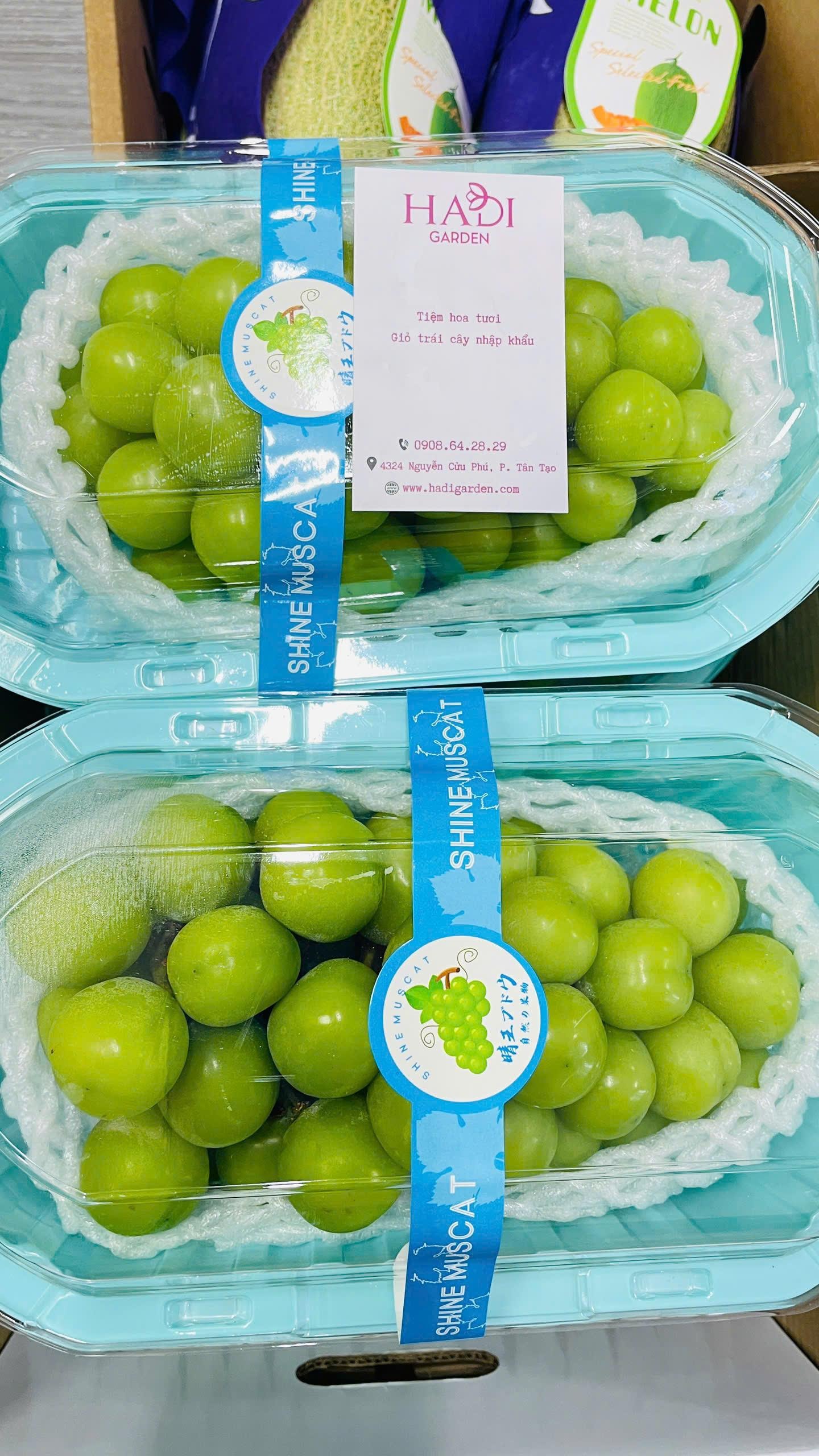 Các loại nho nhập khẩu đa dạng, tươi mọng tại Hadigarden