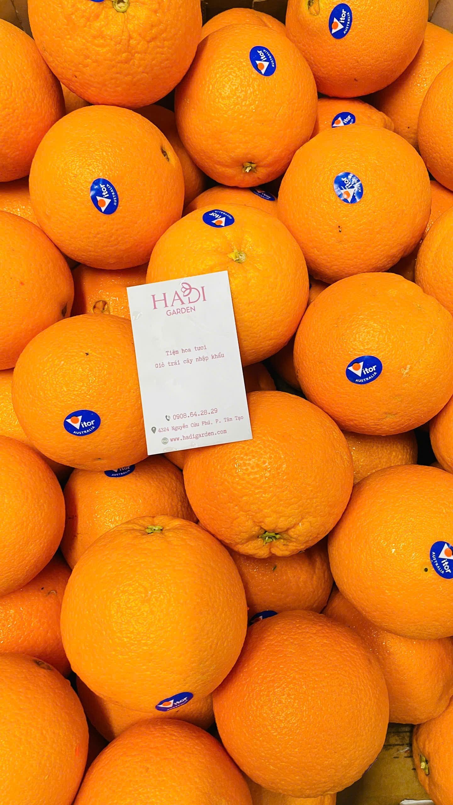 Táo, cherry, nho - giỏ trái cây cao cấp