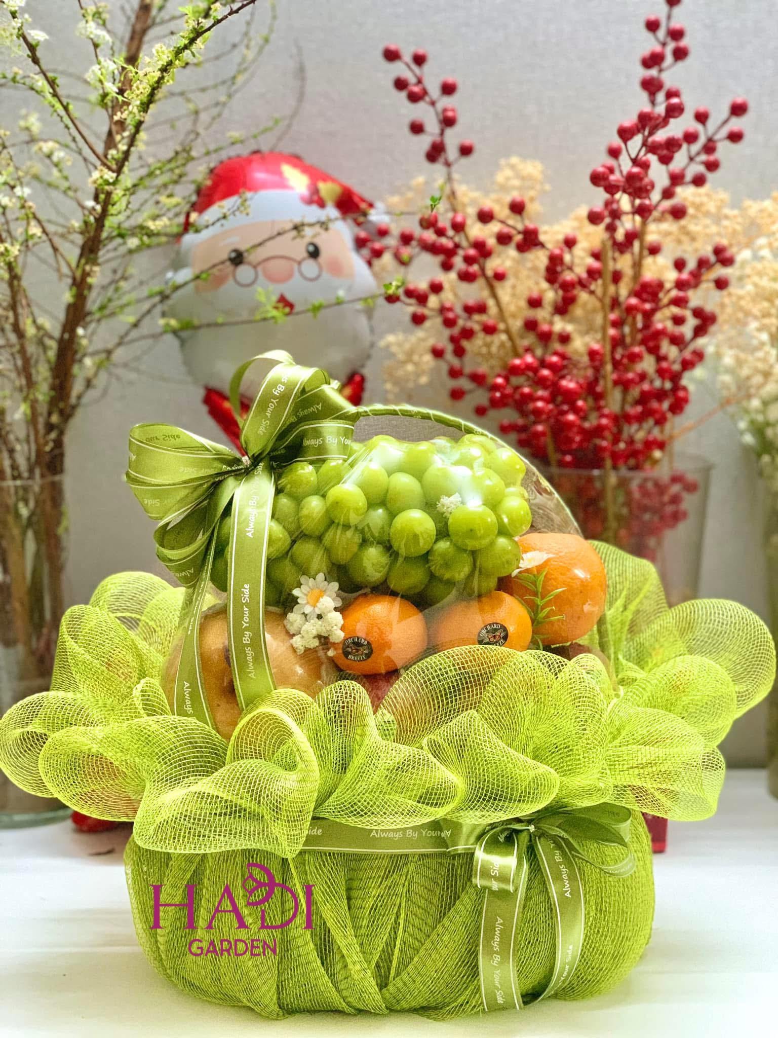 Giỏ trái cây - hadigarden