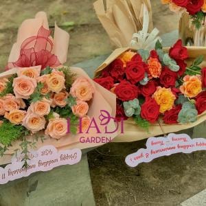 Nét Dịu Dàng Hồng Trắng