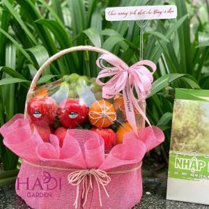 Giỏ Trái Cây Tươi Tổng Hợp Sang Trọng