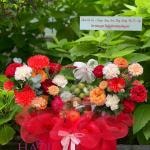Giỏ Trái Cây Tươi Ngon & Cao Cấp - Quà Tặng Sức Khỏe