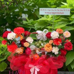 Giỏ Trái Cây Tươi Ngon & Cao Cấp - Quà Tặng Sức Khỏe