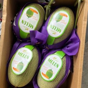Dưa Lưới Aladin Đài Loan