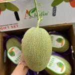Dưa Lưới Aladin Đài Loan