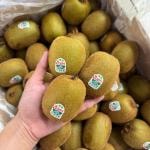 Kiwi Xanh New Zealand