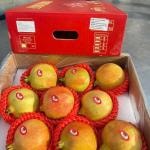 Lựu Thái Rubibi S9