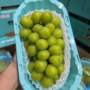 Nho Sữa Hộp