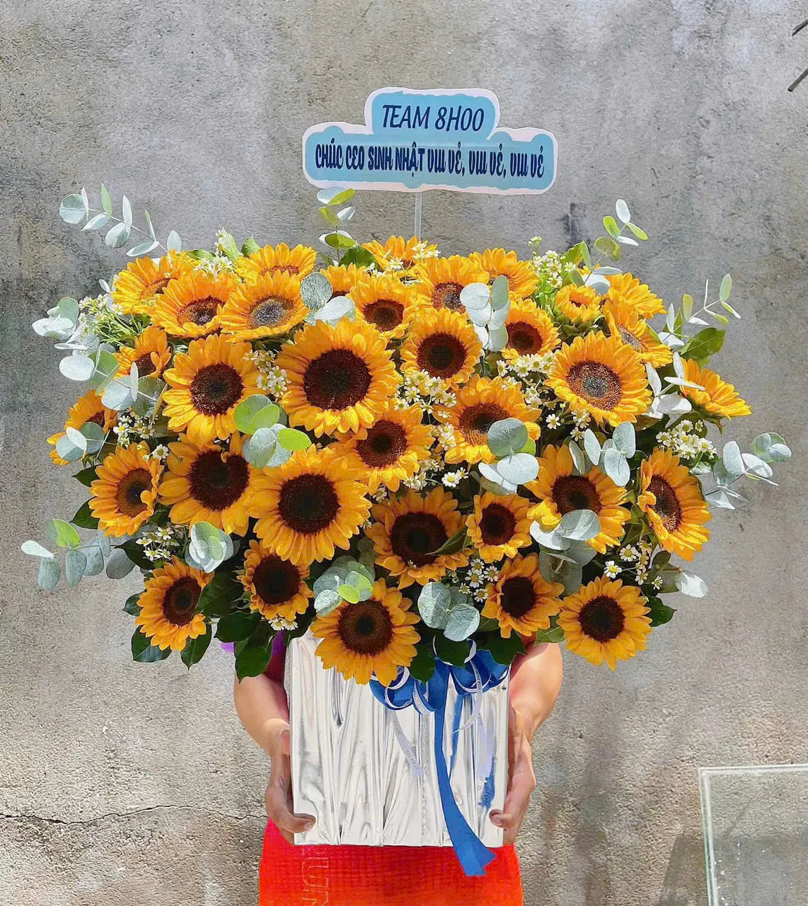 Tiểu Cảnh Cây Cảnh Khai Trương